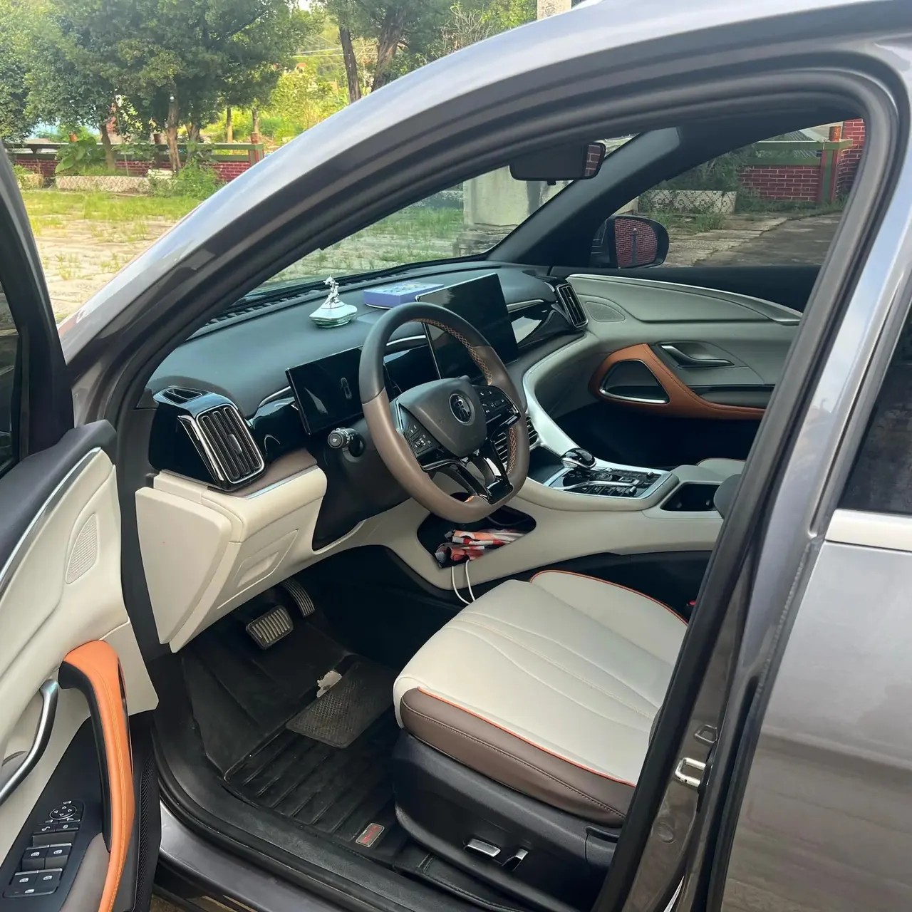 Song Pro New Energy 2022 DM-i 110km Flagship Pro 4