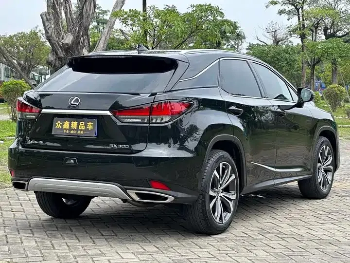 Lexus RX 2020 300 four-wheel drive elegant version of the country VI 15
