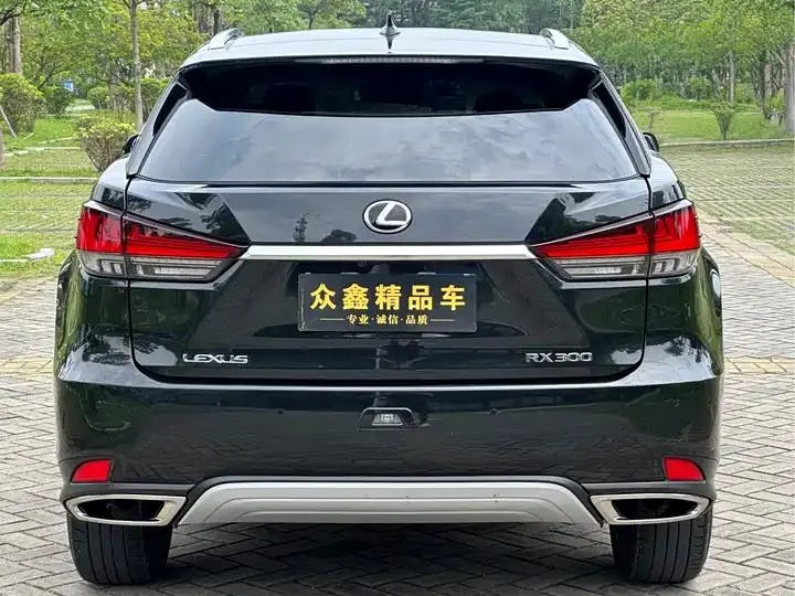 Lexus RX 2020 300 four-wheel drive elegant version of the country VI 16
