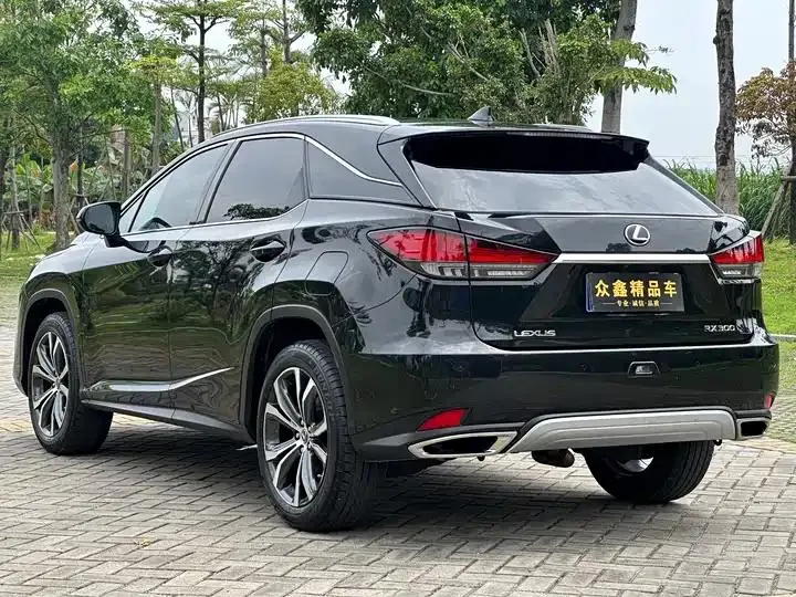 Lexus RX 2020 300 four-wheel drive elegant version of the country VI 17