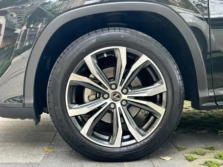 Lexus RX 2020 300 four-wheel drive elegant version of the country VI 18