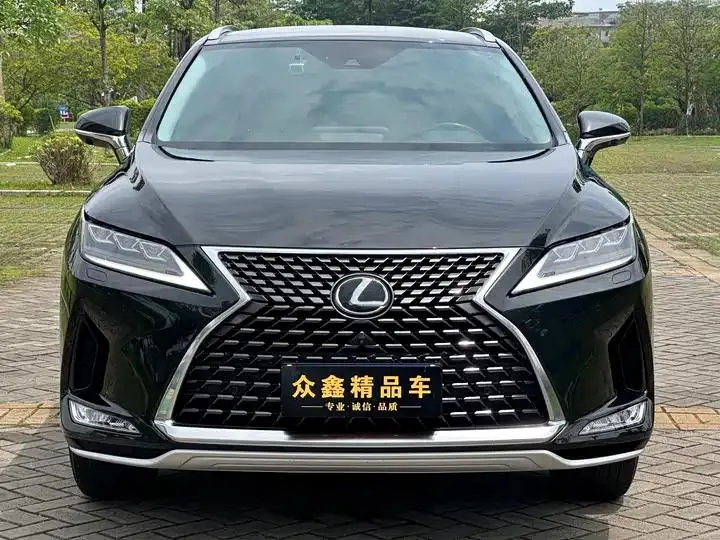 Lexus RX 2020 300 four-wheel drive elegant version of the country VI 2