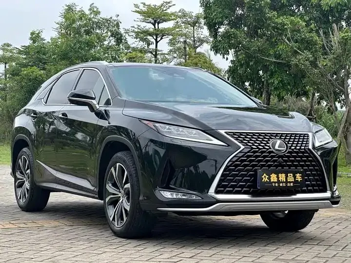 Lexus RX 2020 300 four-wheel drive elegant version of the country VI 3