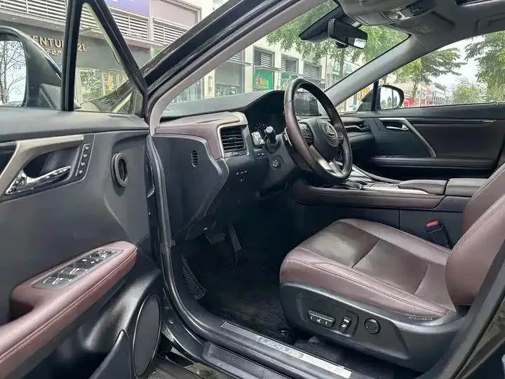 Lexus RX 2020 300 four-wheel drive elegant version of the country VI 4