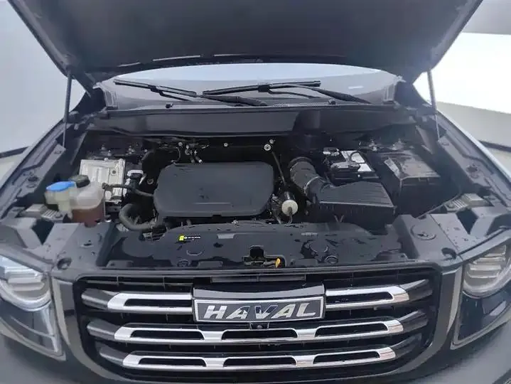 Haval Big Dog 2022 1.5T DCT Two-Drive Border Pastoral Edition 10
