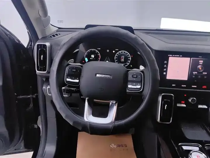 Haval Big Dog 2022 1.5T DCT Two-Drive Border Pastoral Edition 15
