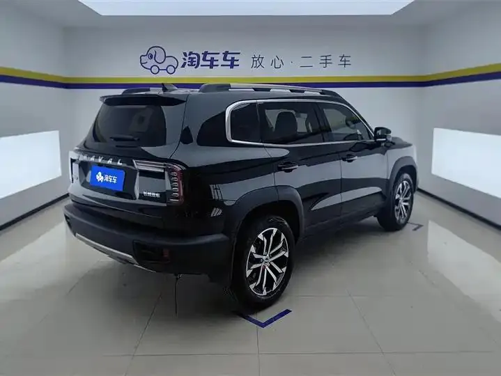 Haval Big Dog 2022 1.5T DCT Two-Drive Border Pastoral Edition 3
