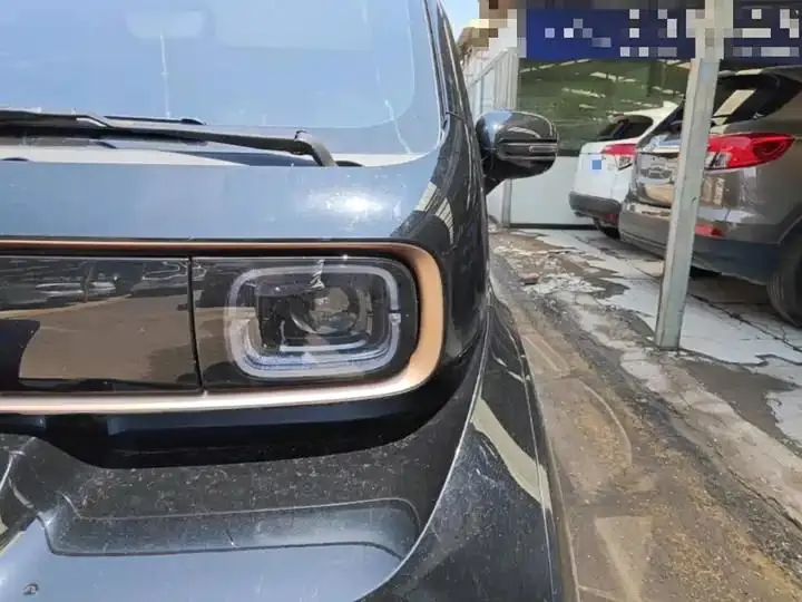 BaoJun KiWi EV 2022 Artist Light Edition Lithium Iron Phosphate 24