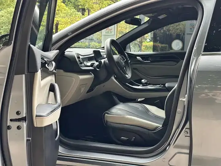 Qin PLUS 2021 DM-i 55KM flagship 18