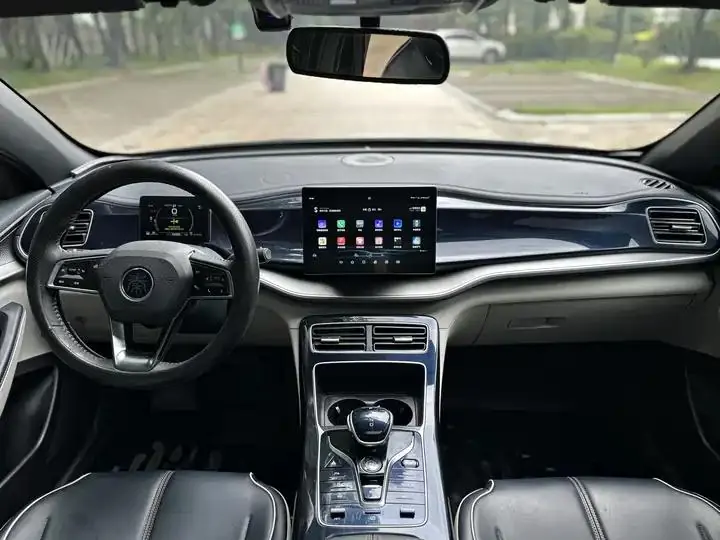 Qin PLUS 2021 DM-i 55KM flagship 20