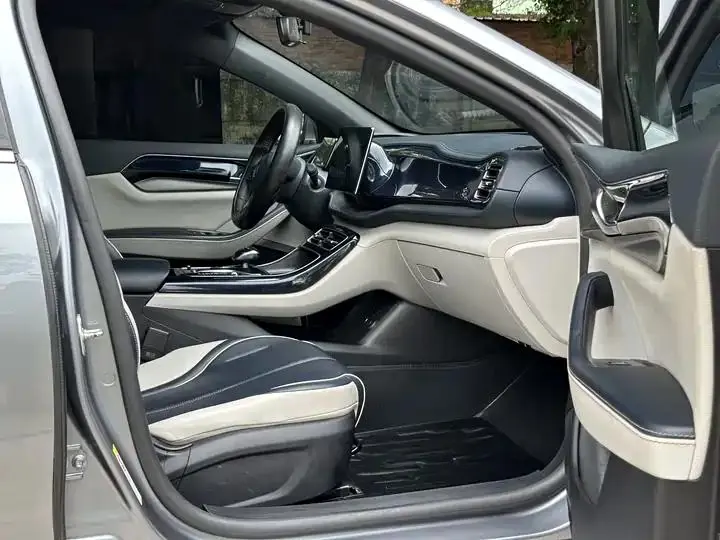 Qin PLUS 2021 DM-i 55KM flagship 21