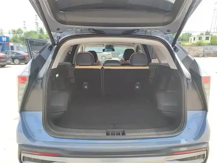 Boyue L 2023 1.5TD DCT Prestige Edition 10