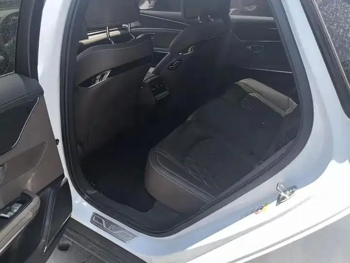 Han 2020 EV four-wheel drive high-performance flagship 6