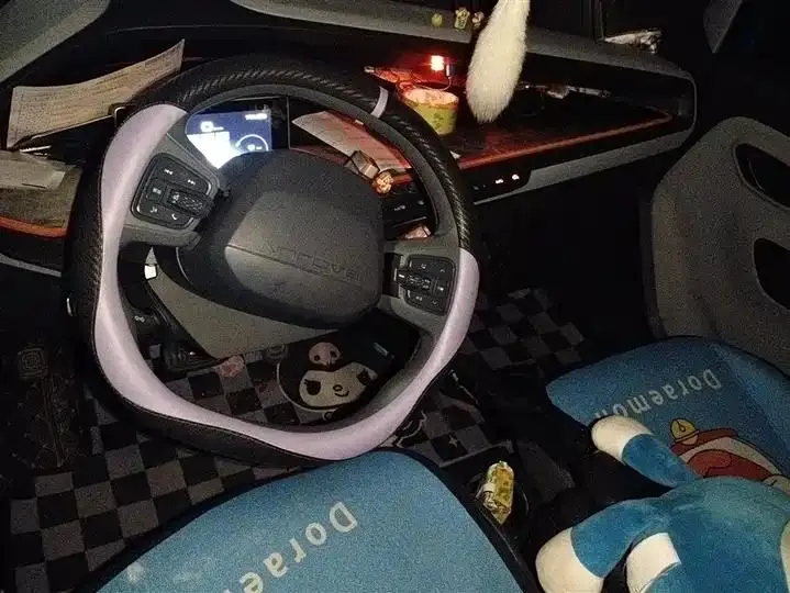 BaoJun E200 2019 250KM Zhixing Edition 12