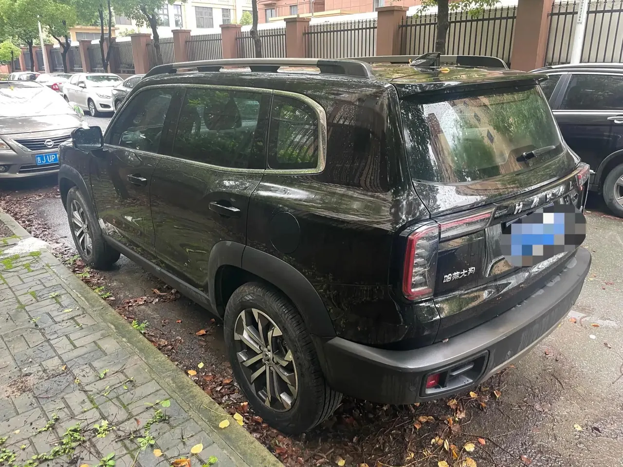 Haval Big Dog 2021 1.5T DCT Two-Drive Border Animal Husbandry-Wangcai Edition 4