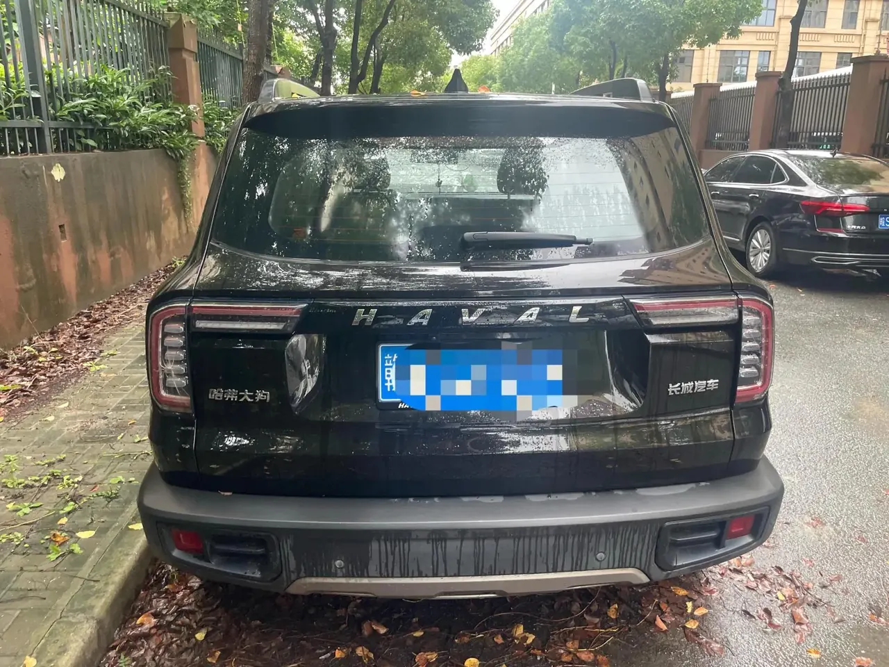 Haval Big Dog 2021 1.5T DCT Two-Drive Border Animal Husbandry-Wangcai Edition 5