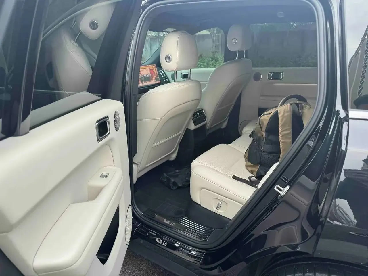 Li 2025 L6 Pro Intelligent Refreshed Version Automatic Transmission 4