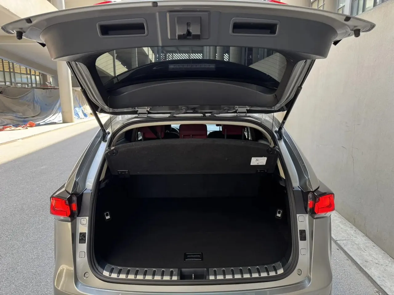 Lexus NX 2020 200 Precursor Front Edition National V 12