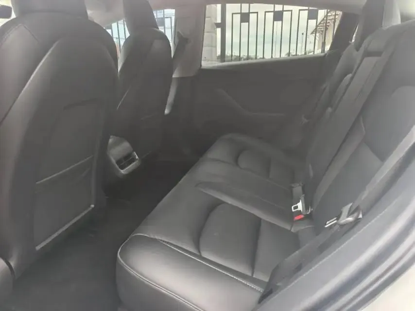 Model 3 2021 Performance high-performance all-wheel drive 6