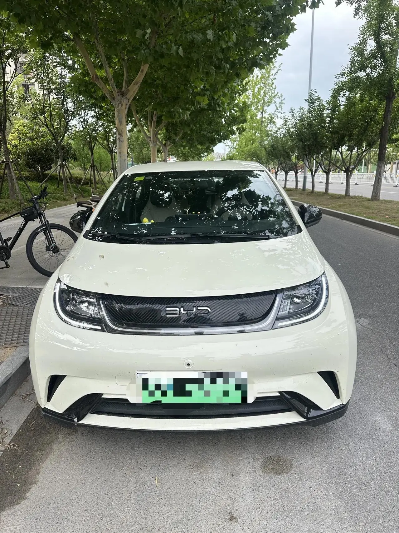 BYD 2025 Dolphin 420km Freedom Edition Automatic 2
