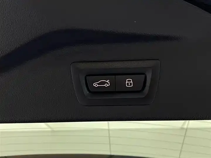BMW X7 2023 xDrive40i Leading Luxury Suit 35