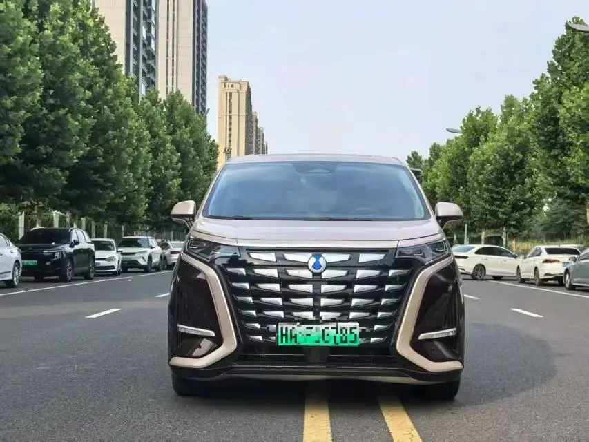 Denza D9 2022 DM-i 970 Four-Wheel-Drive Flagship Model 2