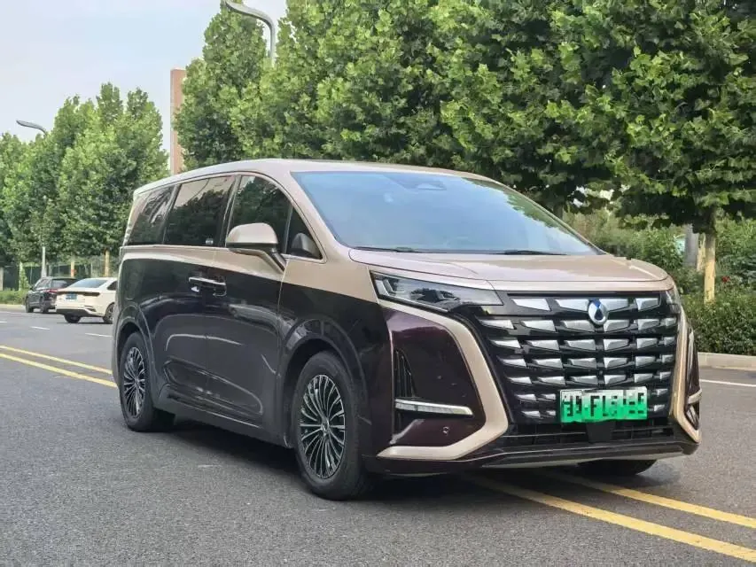 Denza D9 2022 DM-i 970 Four-Wheel-Drive Flagship Model 3