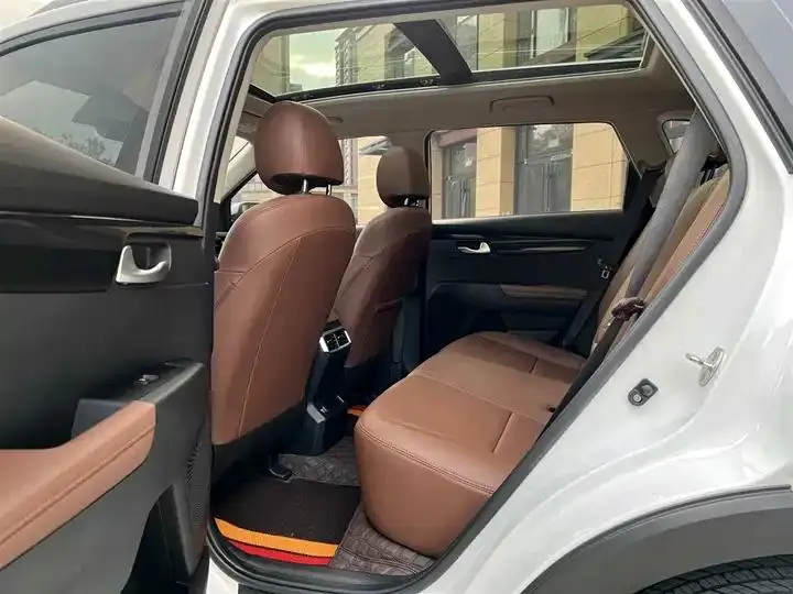 Smart Run 2021 Ace 2.0L Wonderful Edition 11