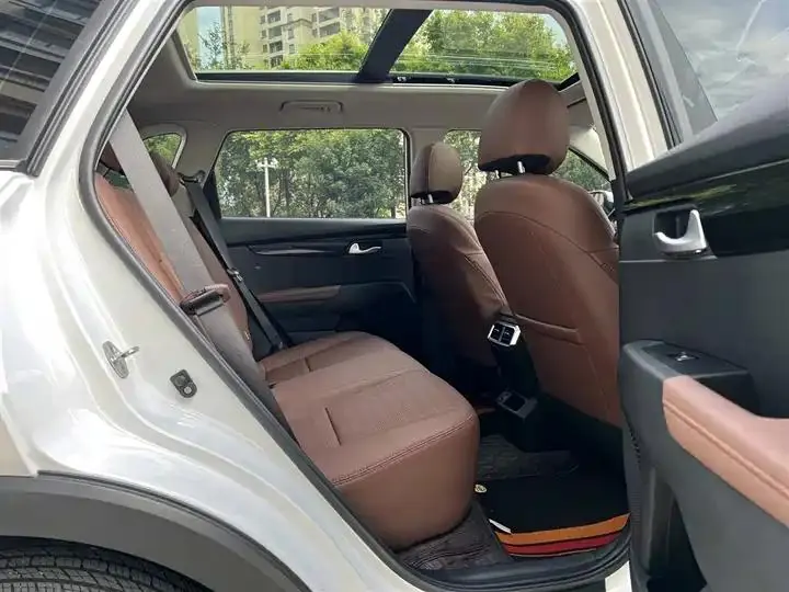 Smart Run 2021 Ace 2.0L Wonderful Edition 12