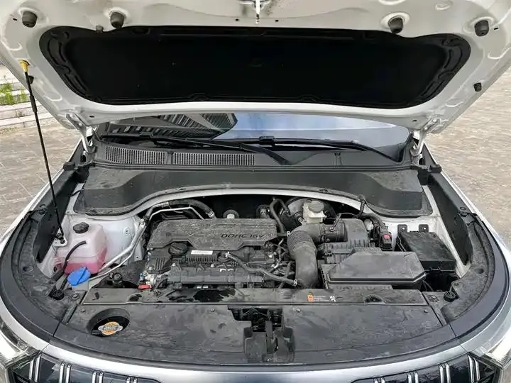Smart Run 2021 Ace 2.0L Wonderful Edition 18