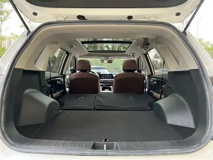 Smart Run 2021 Ace 2.0L Wonderful Edition 19