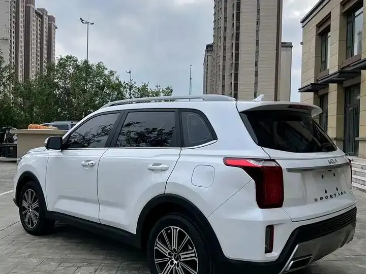 Smart Run 2021 Ace 2.0L Wonderful Edition 6