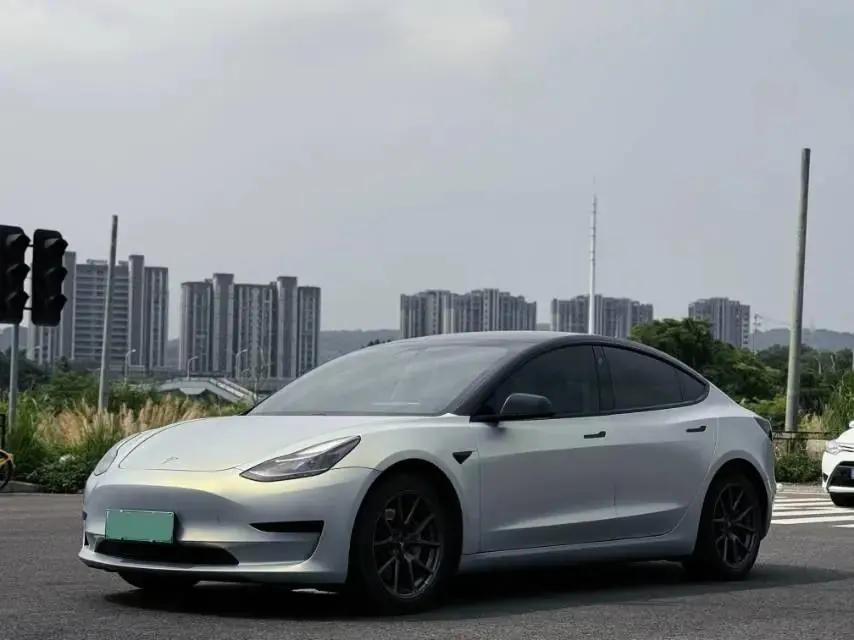 2021 Model 3 Standard Range Rear-Wheel Drive Upgrade Version - View 1