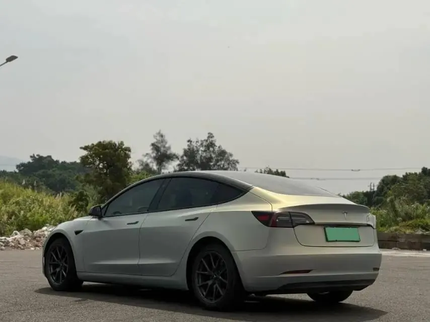 2021 Model 3 Standard Range Rear-Wheel Drive Upgrade Version 3
