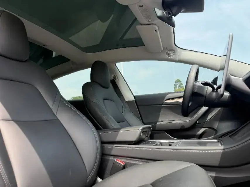 2021 Model 3 Standard Range Rear-Wheel Drive Upgrade Version 9