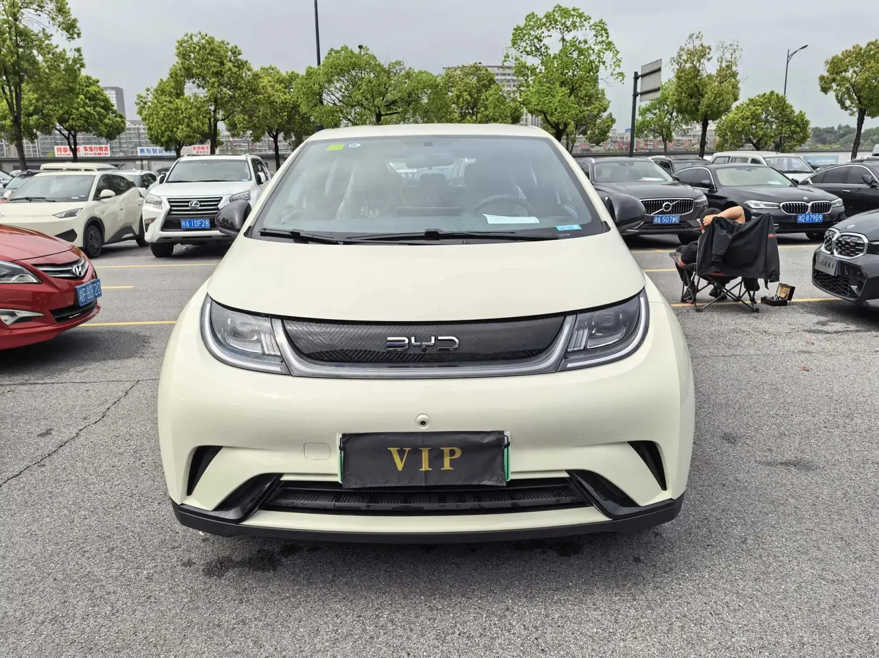 BYD 2025 Dolphin 420km Freedom Edition Automatic 2