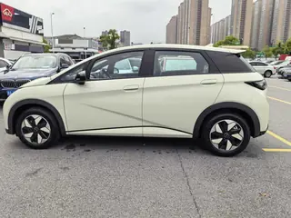 BYD 2025 Dolphin 420km Freedom Edition Automatic 7