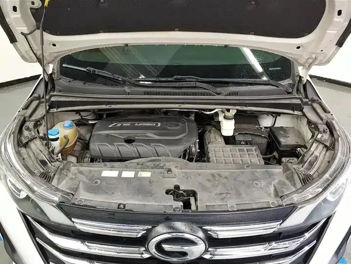 Chuanqi M6 2021 270T DCT Premium Edition (7 seats) 10