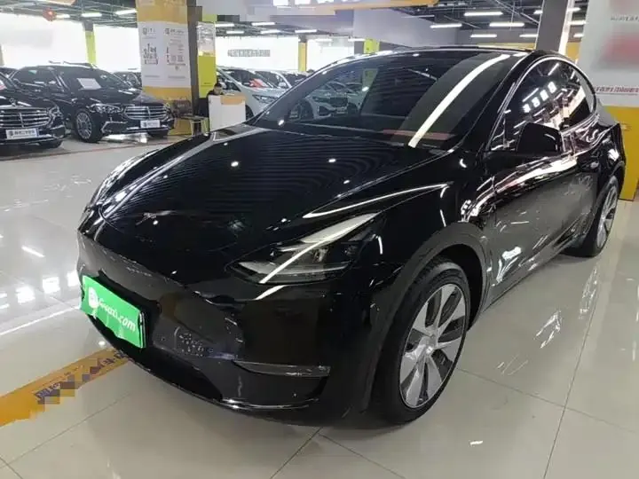 2021 Model Y Standard Range Rear-Wheel Drive Edition - View 1