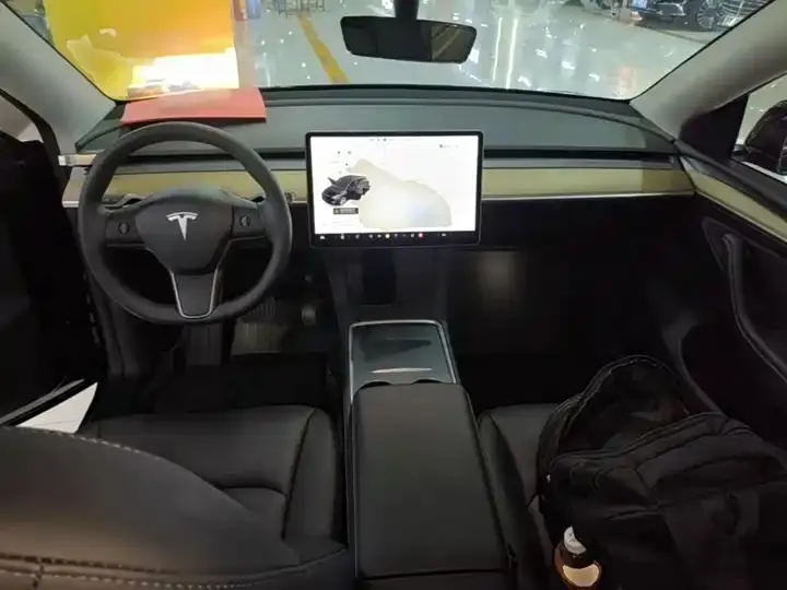 2021 Model Y Standard Range Rear-Wheel Drive Edition 10