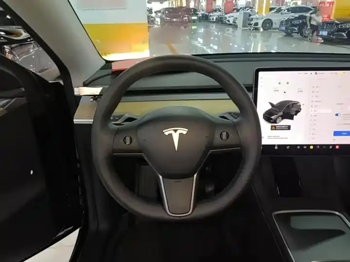 2021 Model Y Standard Range Rear-Wheel Drive Edition 11