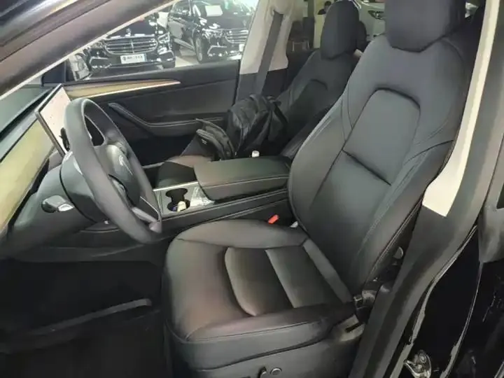 2021 Model Y Standard Range Rear-Wheel Drive Edition 15