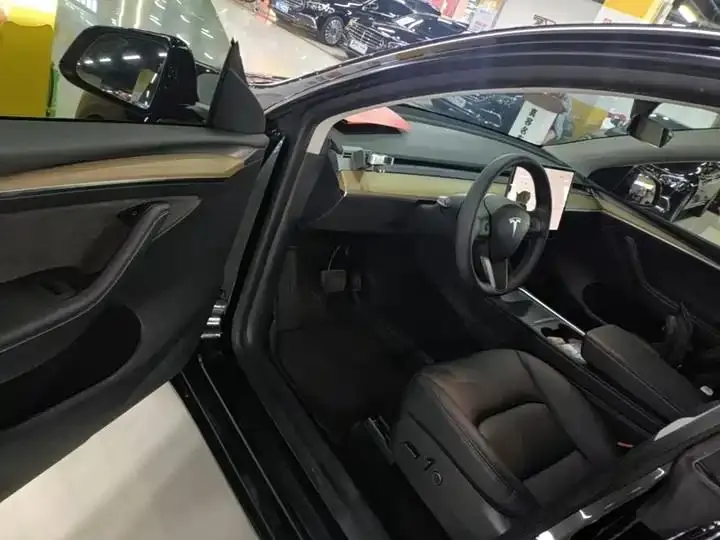 2021 Model Y Standard Range Rear-Wheel Drive Edition 16