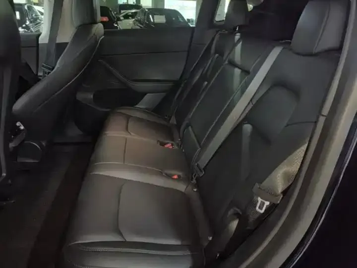 2021 Model Y Standard Range Rear-Wheel Drive Edition 17