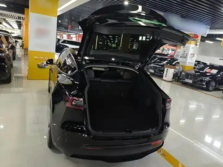 2021 Model Y Standard Range Rear-Wheel Drive Edition 19