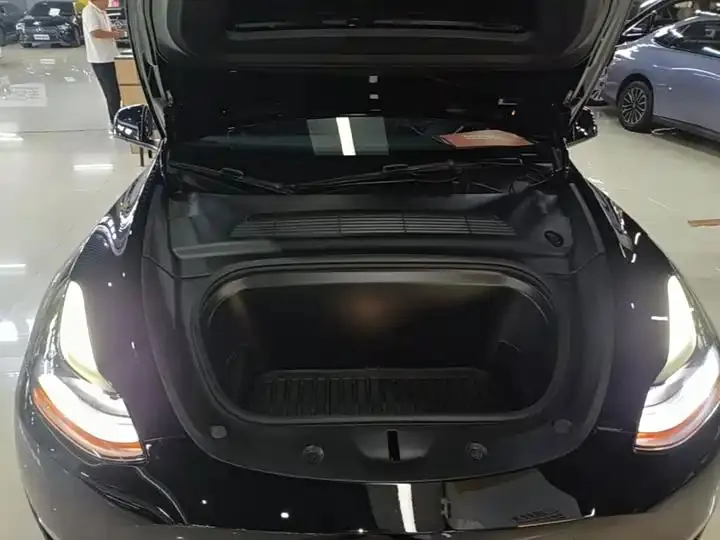 2021 Model Y Standard Range Rear-Wheel Drive Edition 20