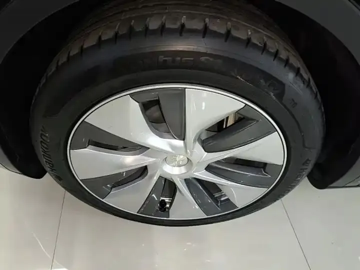 2021 Model Y Standard Range Rear-Wheel Drive Edition 23