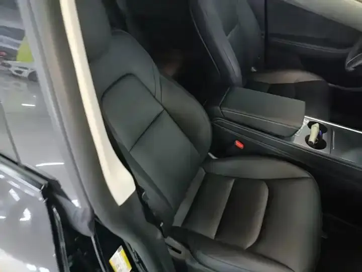 2021 Model Y Standard Range Rear-Wheel Drive Edition 25