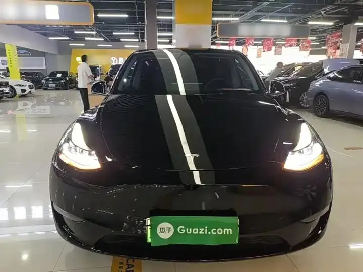 2021 Model Y Standard Range Rear-Wheel Drive Edition 3