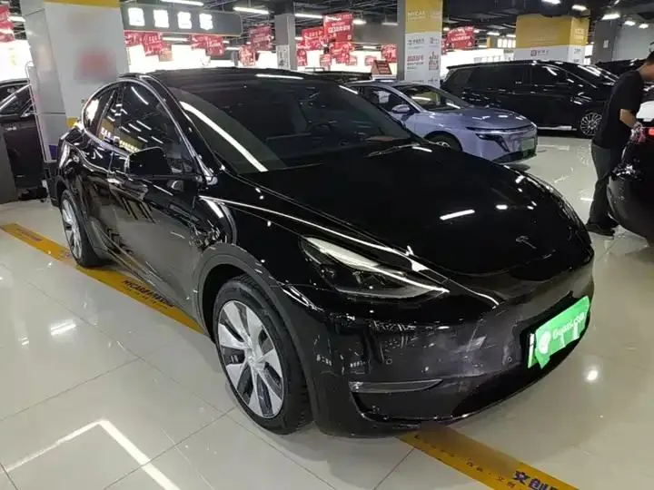 2021 Model Y Standard Range Rear-Wheel Drive Edition 4